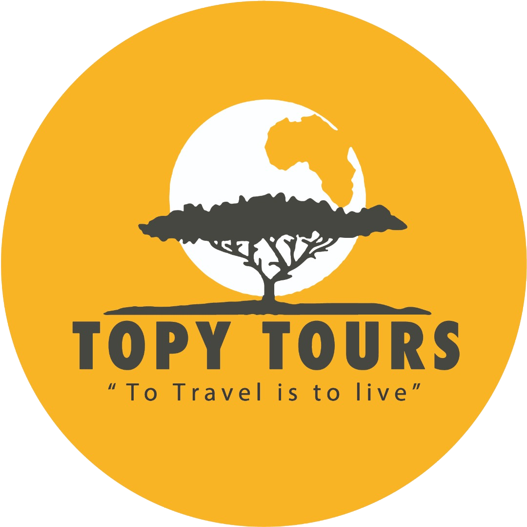Topy Tours
